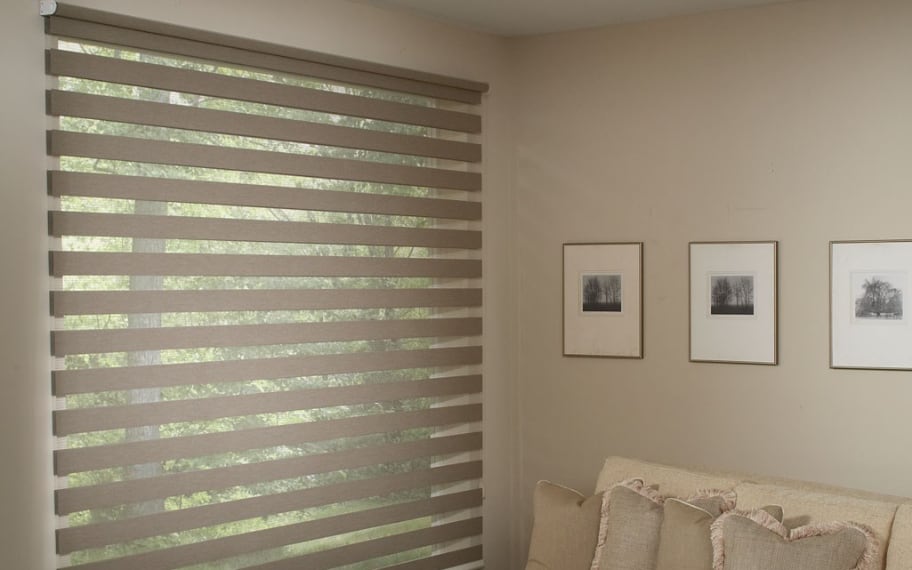 Transitional Zebra Shade Benefits