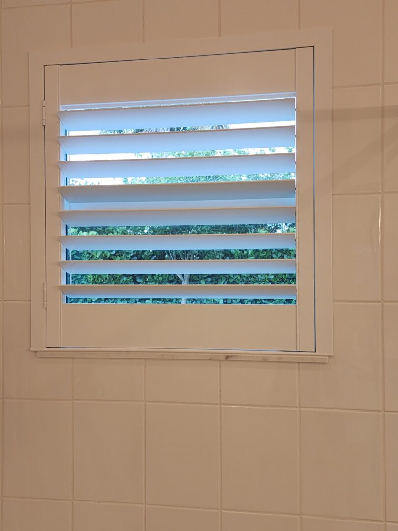 20240702_164540 White window shutters with view of trees.